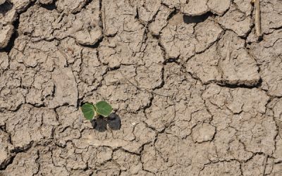 Drought issues for Santa Barbara